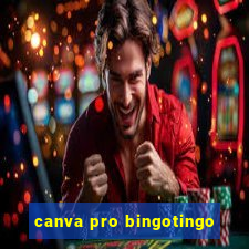 canva pro bingotingo